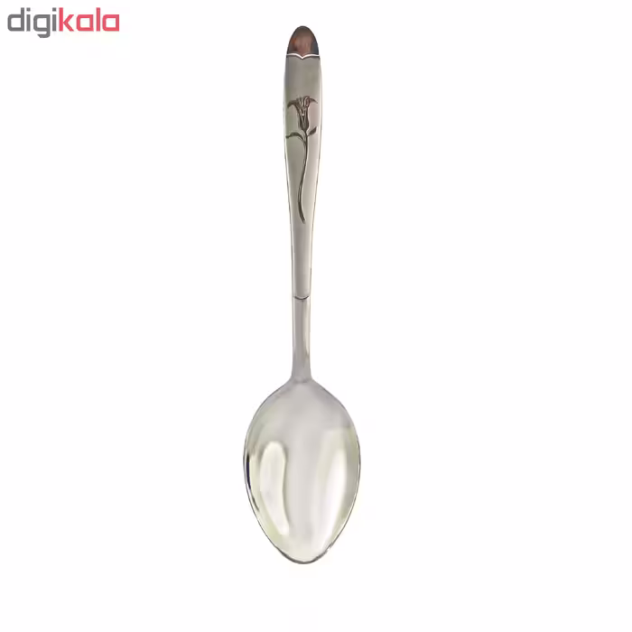 قاشق اجیل خوری نیوهوم کد 0860