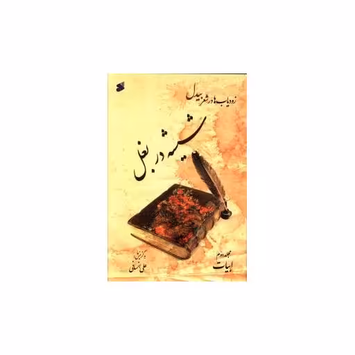 کتاب گزیده بیدل (2 جلدی)(چاپ و نشر بین الملل) اثر علی انسانی