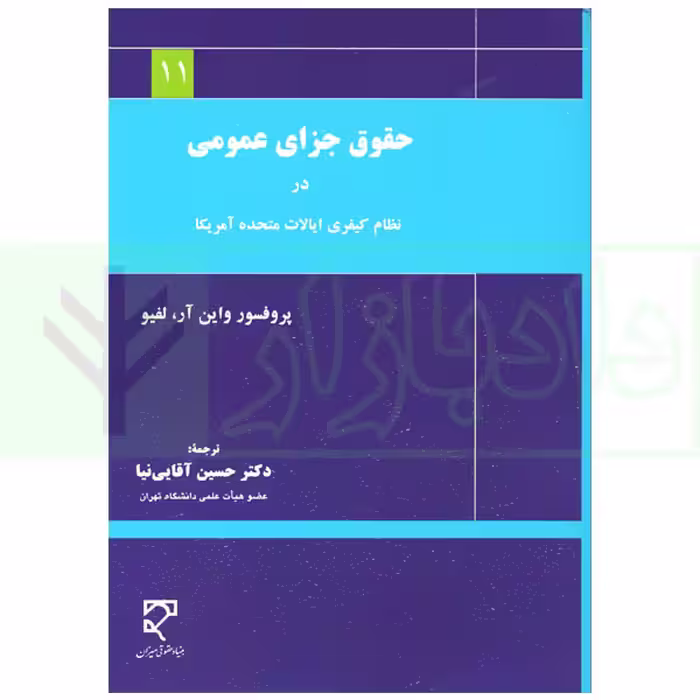حقوق جزای عمومی در نظام کیفری ایالات متحده آمریکا | دکتر آقایی نیا