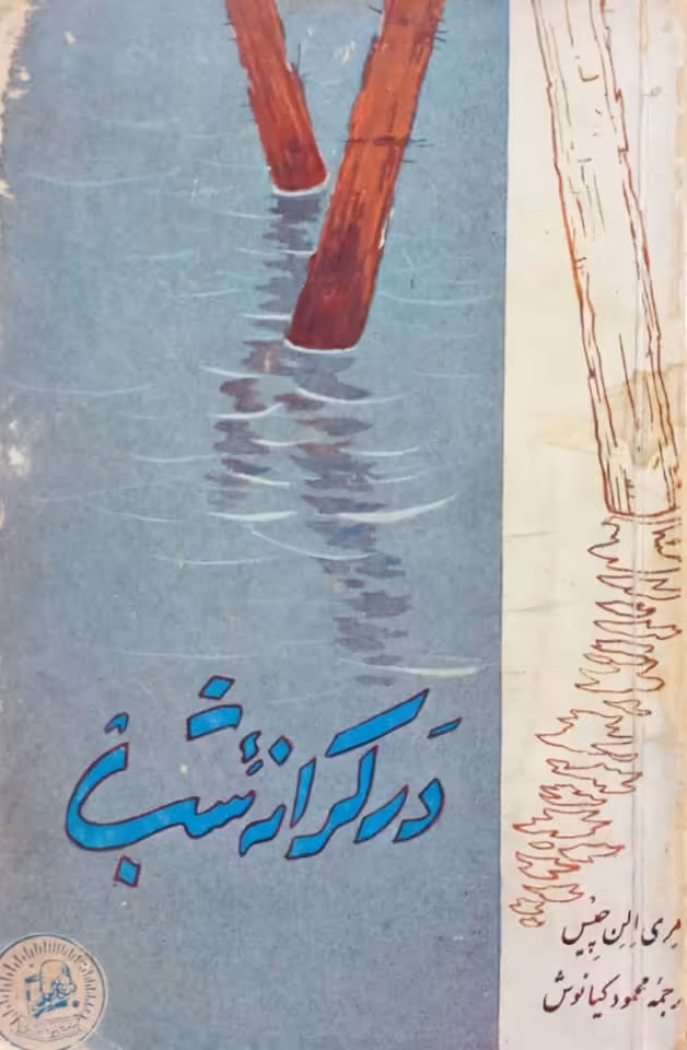 در کرانه شب | مری الن چیس