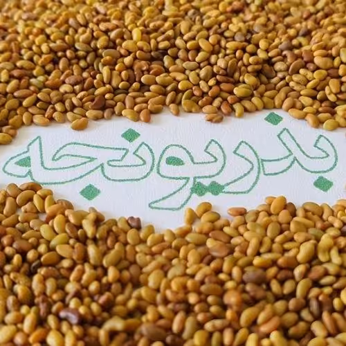 تخم یونجه  100گرم شیرافزا. قاعده آور. رفع سرفه سنگین