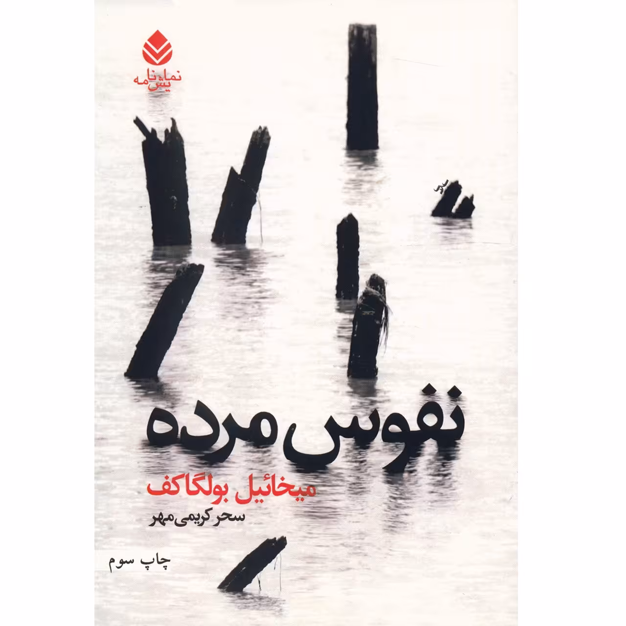 کتاب نفوس مرده اثر میخائیل بولگاکف