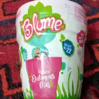 عروسک گلدانی بلوم 