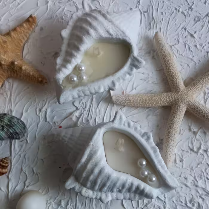 گیفت گوش ماهی بتنی