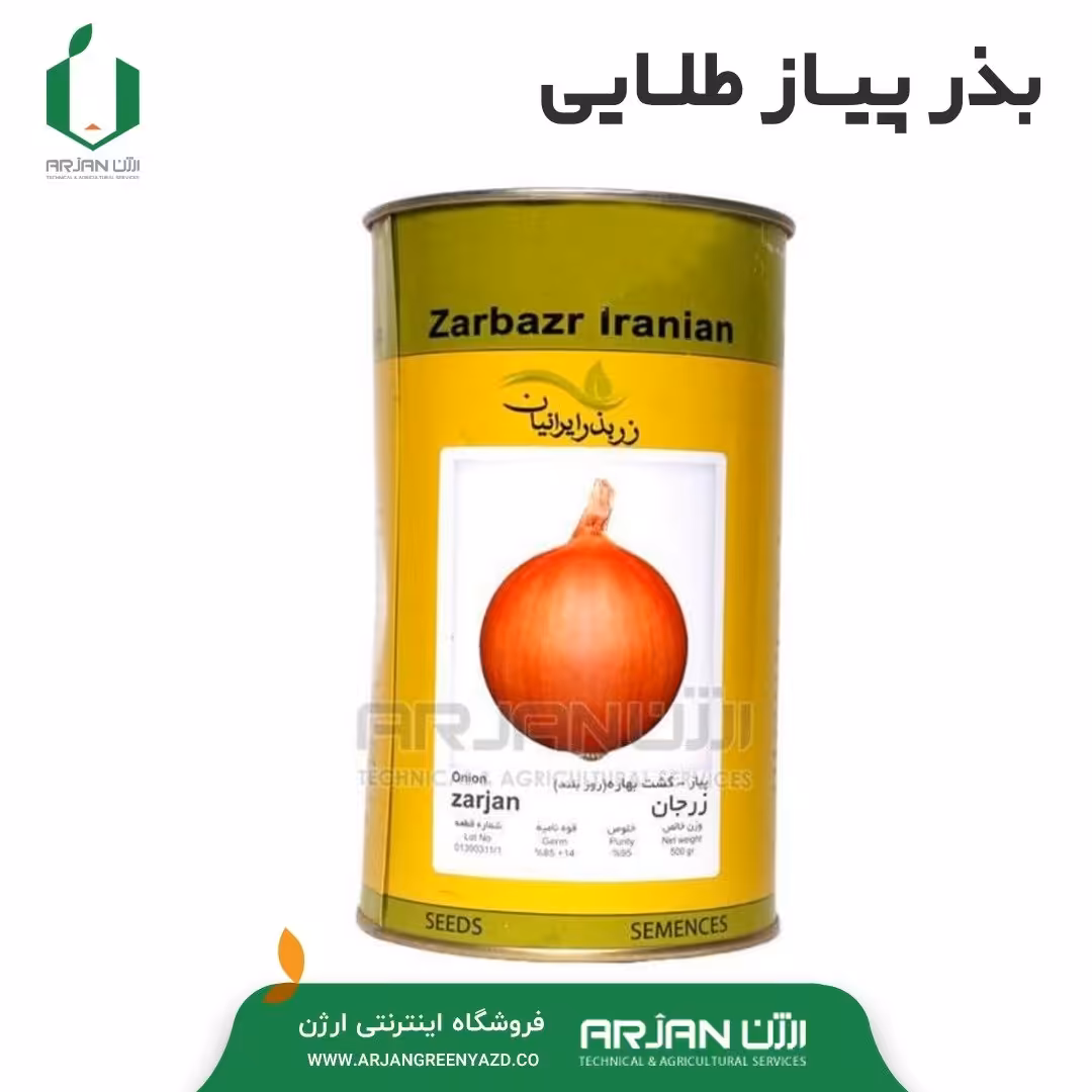 بذر پیاز زرد ( طلایی ) واریته زرجان ( قوطی 500 گرمی )