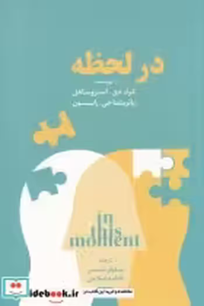 قیمت و خرید کتاب در لحظه اثر کرک دی استروساهل | ایده بوک