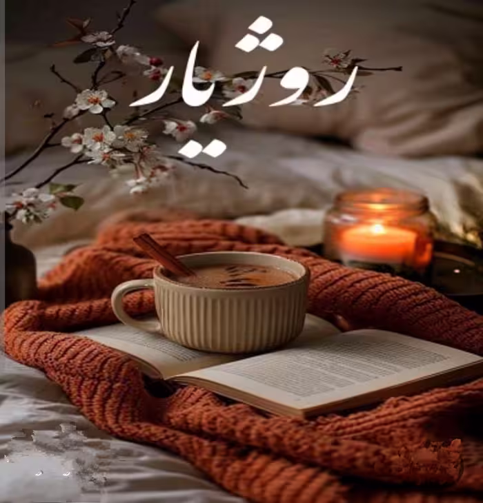 PDF نسخه کامل رمان روژیار از سارا در ژانر عاشقانه و اجتماعی - رئال  با کیفیت عالی