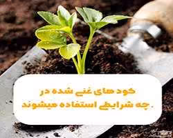 كودهاي غني شده pdf - کتابخانه مجازی واتیکان