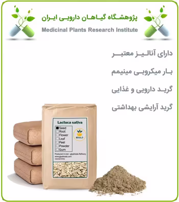 پودر بذر کاهو فله
