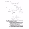کتاب Comprehensive Pharmacy Review for NAPLEX اثر Leon Shargel انتشارات Wolters Kluwer