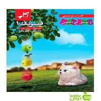فیزیک دهم ریاضی زیر ذره‌بین کاپ - سیب ترش - SibTorsh خرید با تخفیف