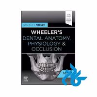 کتاب Wheelers Dental Anatomy Physiology and Occlusion 11th