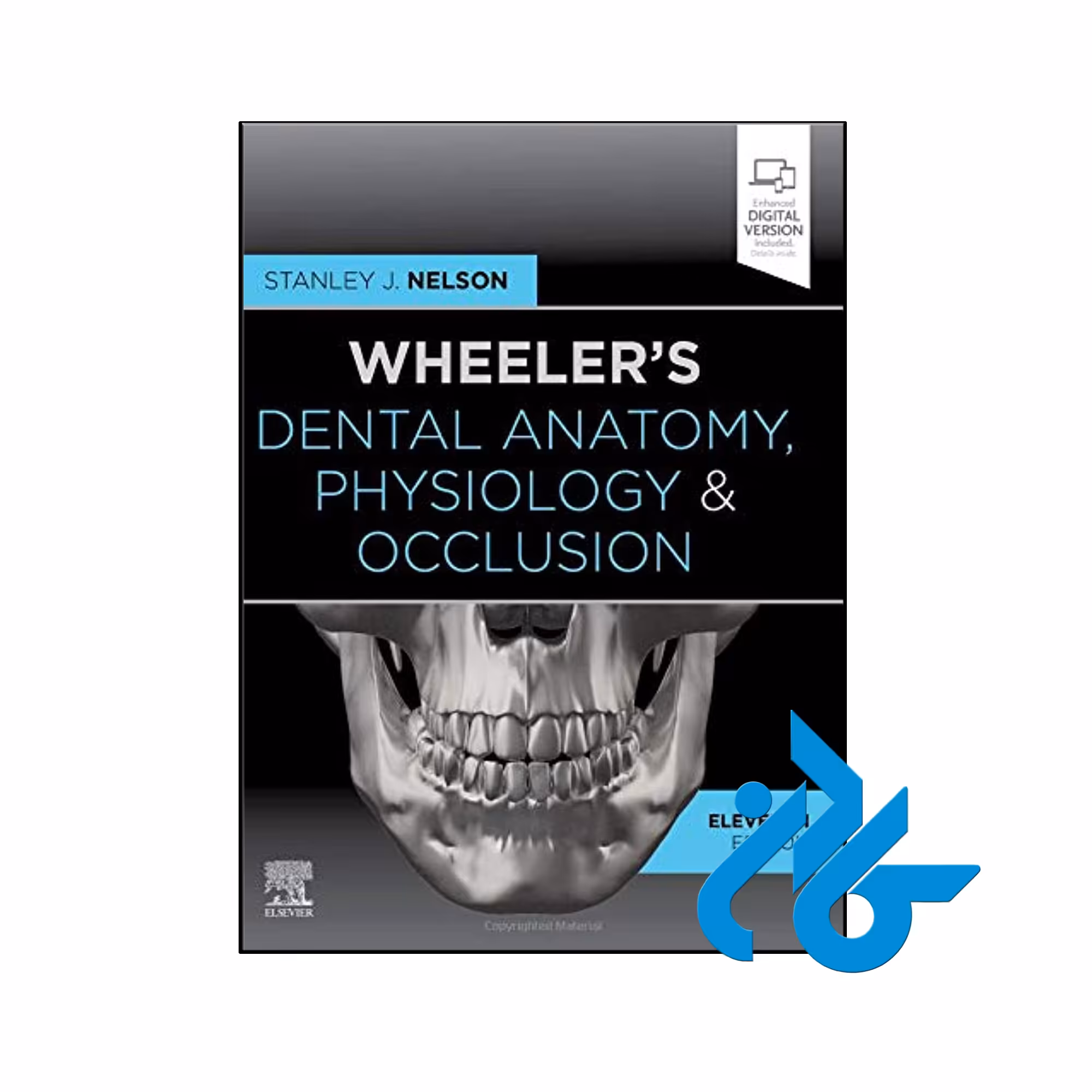 کتاب Wheelers Dental Anatomy Physiology and Occlusion 11th