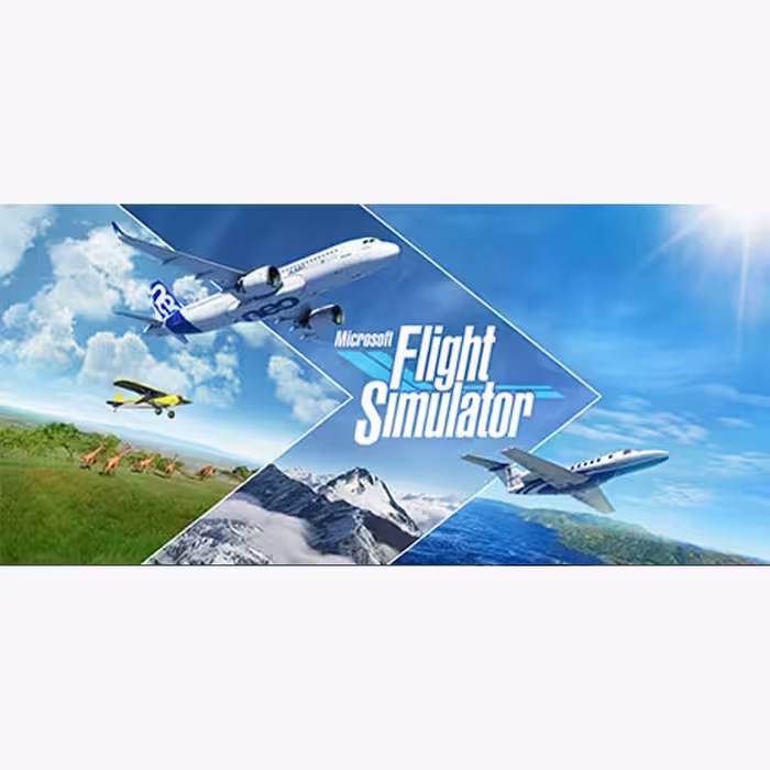 Microsoft Flight Simulator