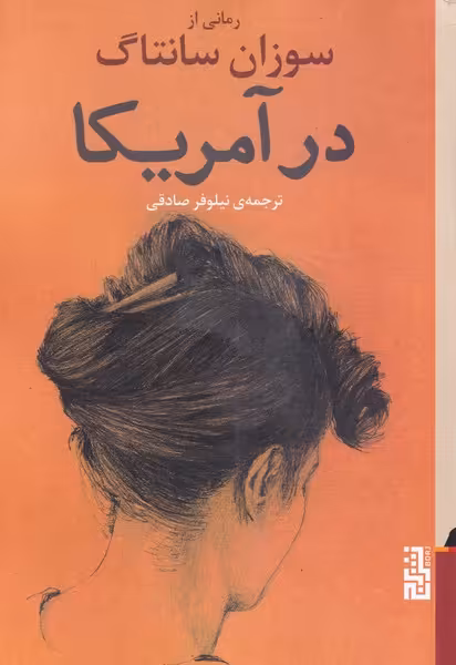 کتاب در آمریکا اثر سوزان سانتاگ نشر برج