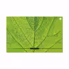 برچسب پوششی ماهوت مدل Leaf-Texture مناسب برای تبلت سونی Xperia Z2 Tablet LTE 2014