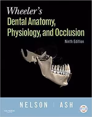 [PDF] دانلود کتاب Wheeler's Dental Anatomy, Physiology, And Occlusion, 2010