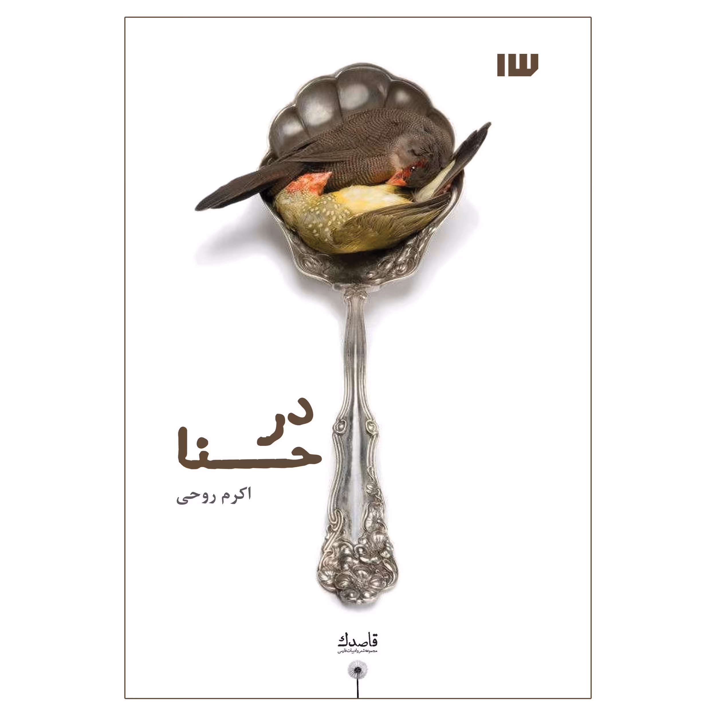کتاب درحنا اثر اکرم روحی نشر سیزده