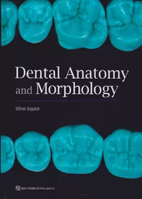 Hilton Dental Anatomy and Morphology