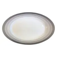 ديس چيني زرين ايران مدل سيلور لاينر 38
