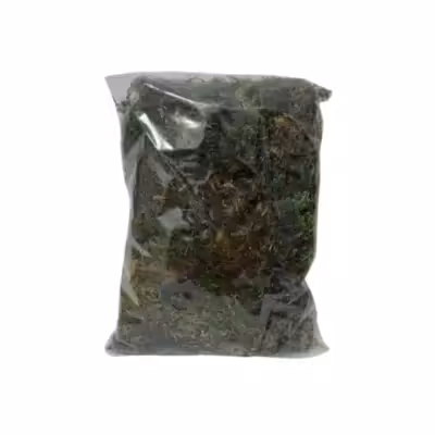 خزه گلدان کد A-1 وزن 50 گرم