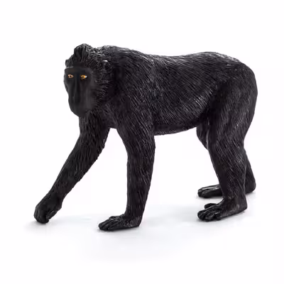 فیگور طرح میمون کاکل‌دار مدل NR7182