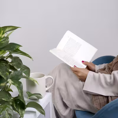 کتاب زندگی شگفت انگیز یک پستچی تنها اثر دنیس تریو انتشارات کتاب کوچه