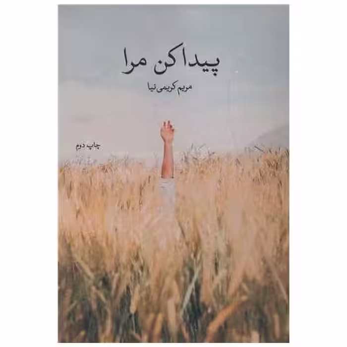 کتاب پیدا کن مرا اثر مریم کریمی نیا