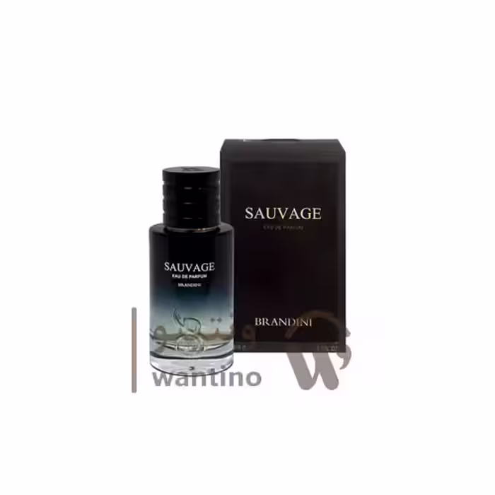 عطر ادکلن مردانه دیور ساواج برندینی (Brandini Dior Sauvage) 33 میل