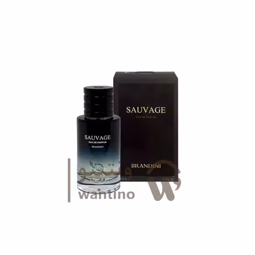 عطر ادکلن مردانه دیور ساواج برندینی (Brandini Dior Sauvage) 33 میل