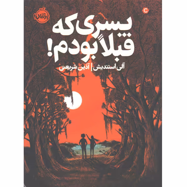کتاب پسری که قبلا بودم اثر آلی استندیش