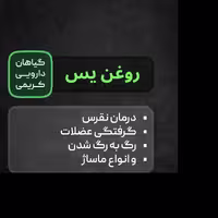 روغن یس ( گرفتگی عضلات و مناسب ماساژ )