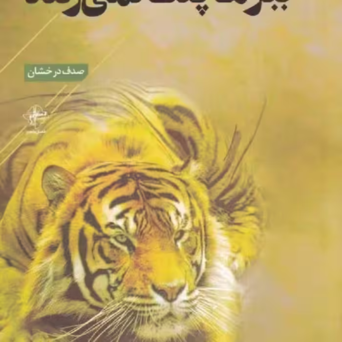 ببرها پلک نمی‌زنند