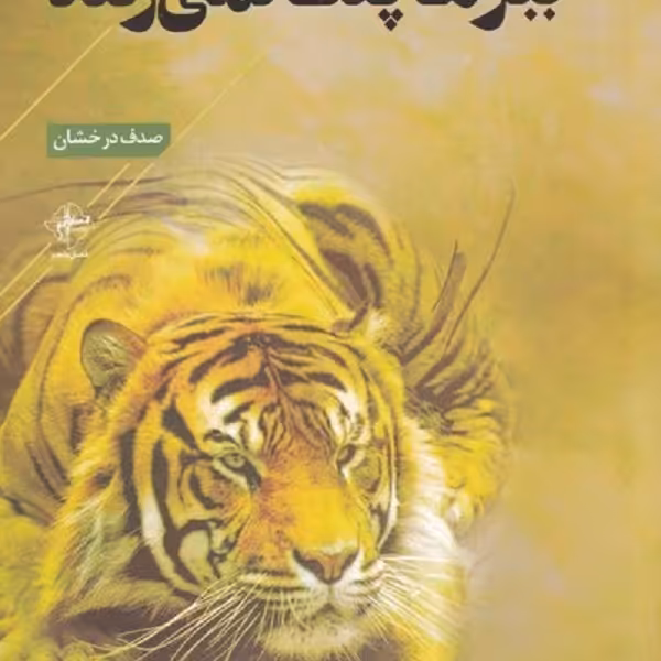 ببرها پلک نمی‌زنند