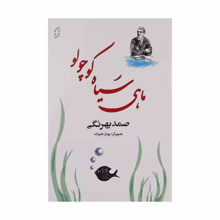 کتاب ماهی سیاه کوچولو اثر صمد بهرنگی