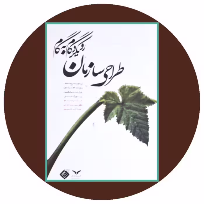 کتاب طراحی سازمان: رویکرد گام به گام - خرید از کتاب دایره قهوه ای