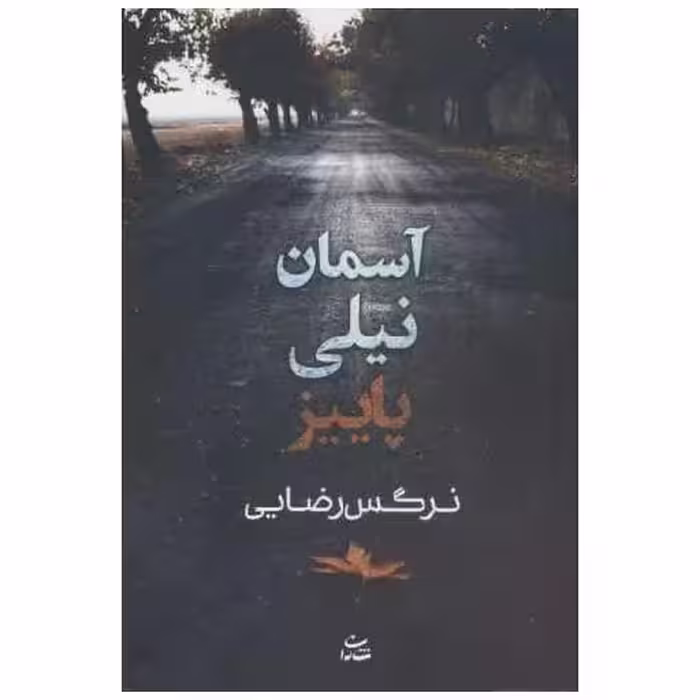 کتاب آسمان نیلی پاییز اثر نرگس رضایی