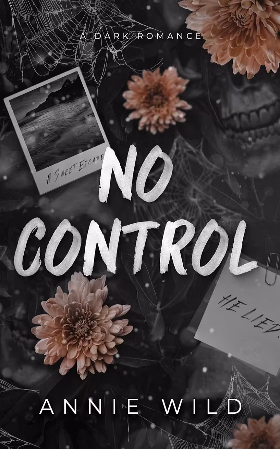No Control (Unhinged Hitmen Book 2)