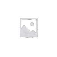 لمینت فورد 610