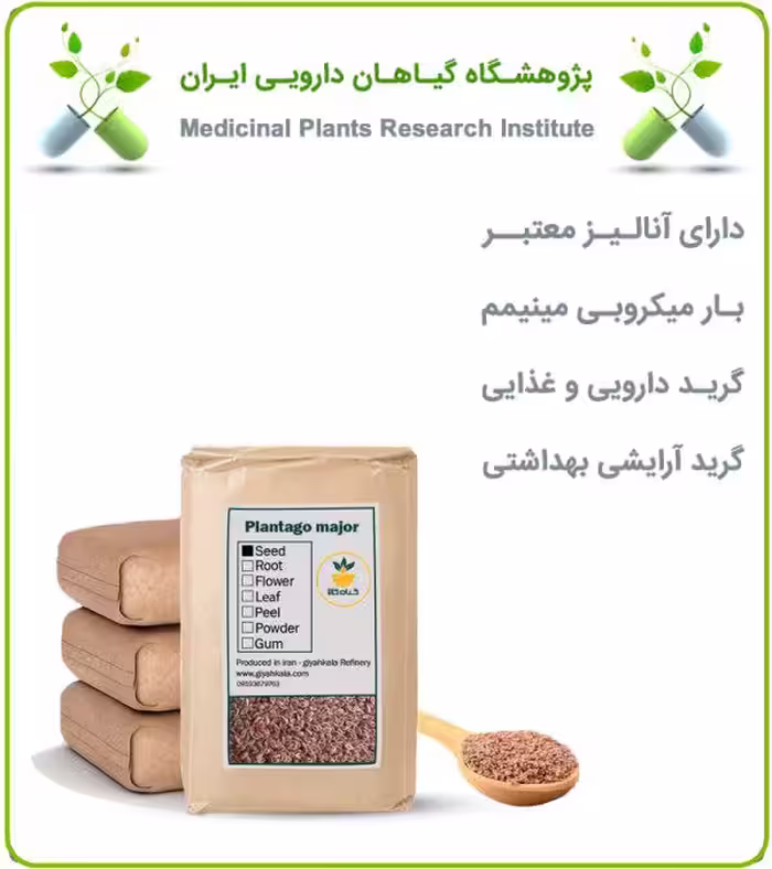 دانه بارهنگ خشک فله