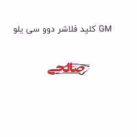 کلید فلاشر دوو سی یلو GM