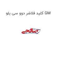 کلید فلاشر دوو سی یلو GM