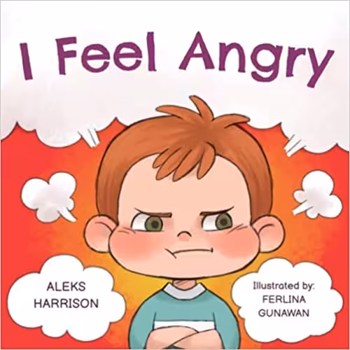 خرید و دانلود نسخه کامل کتاب I Feel Angry: Children's picture book about anger management for kids age 3 5 (Emotions &amp; Feelings Book for Preschool) -   Pdf