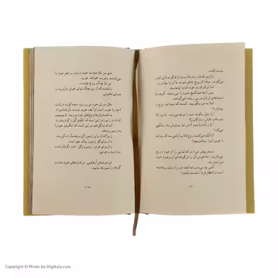 کتاب پیامبر و دیوانه اثر جبران خلیل جبران انتشارات کارنامه