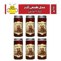عسل طبیعی کنار 950 گرمی (پک 6 عددی) سوژین