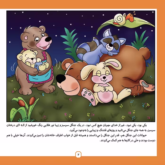 کتاب ضرب المثل های ایرانی ۲ آن جا که عرب نی انداخت اثر اکرم سادات فیض آبادی انتشارات برف