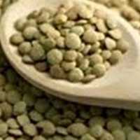 عدس ارگانیک (ریز)