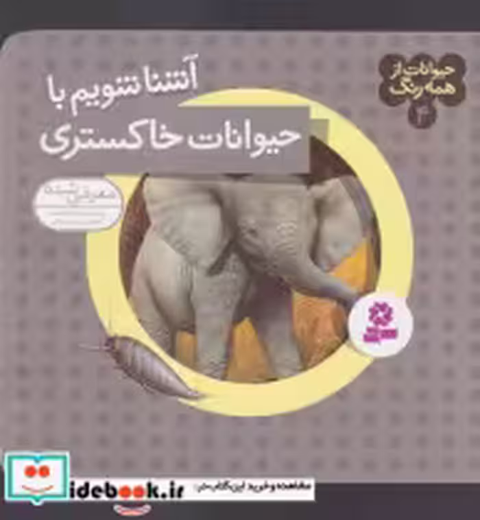 قیمت و خرید کتاب حیوانات از همه رنگ 4 شمیز،خشتی،قدیانی | ایده بوک