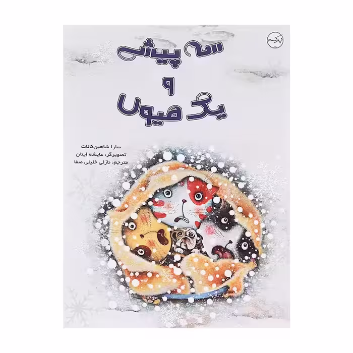 کتاب سه پیشی و یک هیولا اثر سارا شاهین کانات انتشارات برکه خورشید 