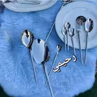 3 طرح سرویس قاشق و چنگال 24 نفره 120 پارچه برند لاکچری ریموند نقره ای
